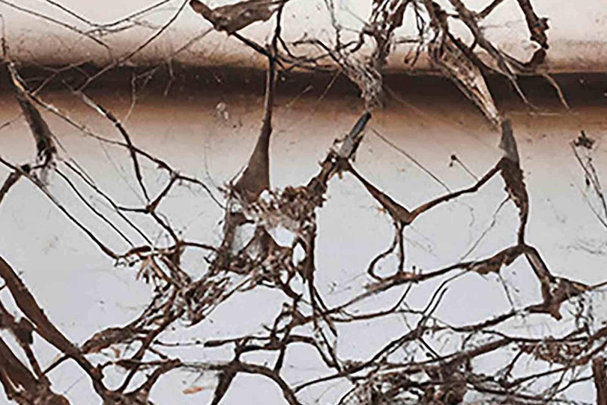 “Recuerdos Rotos”, nuevo videoclip de La Desbandada