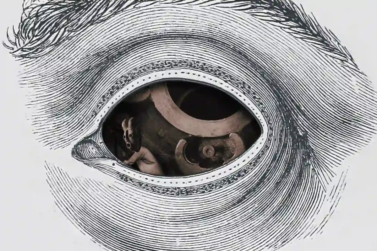 “Black Soul”, nuevo single de Electric Fence