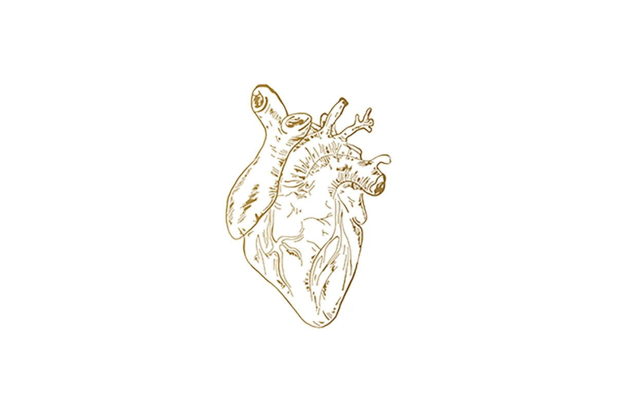 Teksuo estrena nueva versión del tema “Rip My Heart Out”